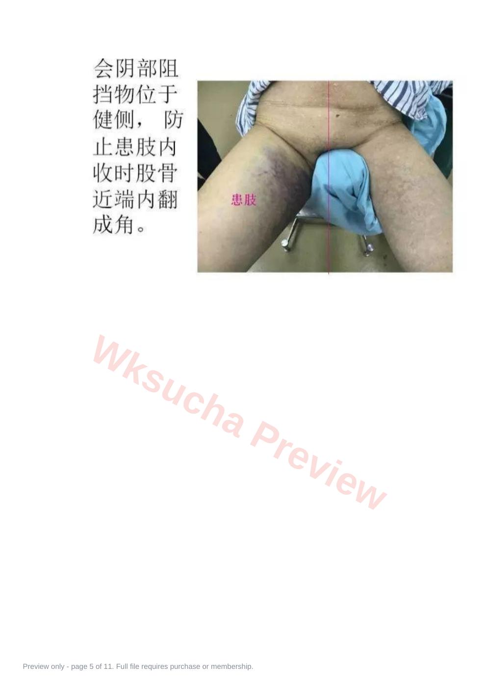 预览第 5 页