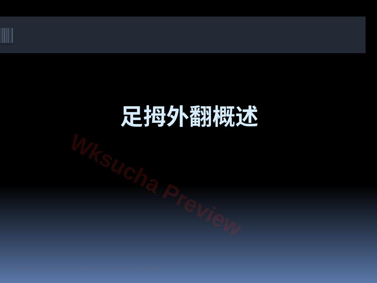 预览第 3 页