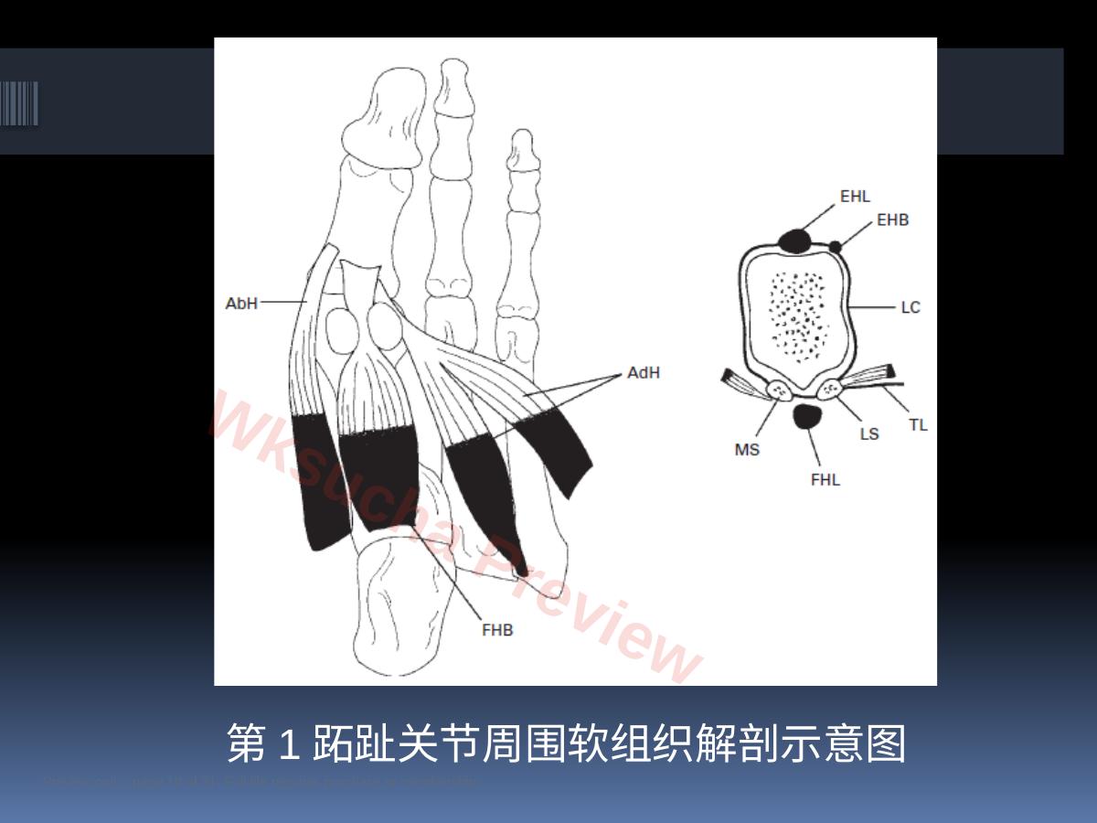 预览第 10 页