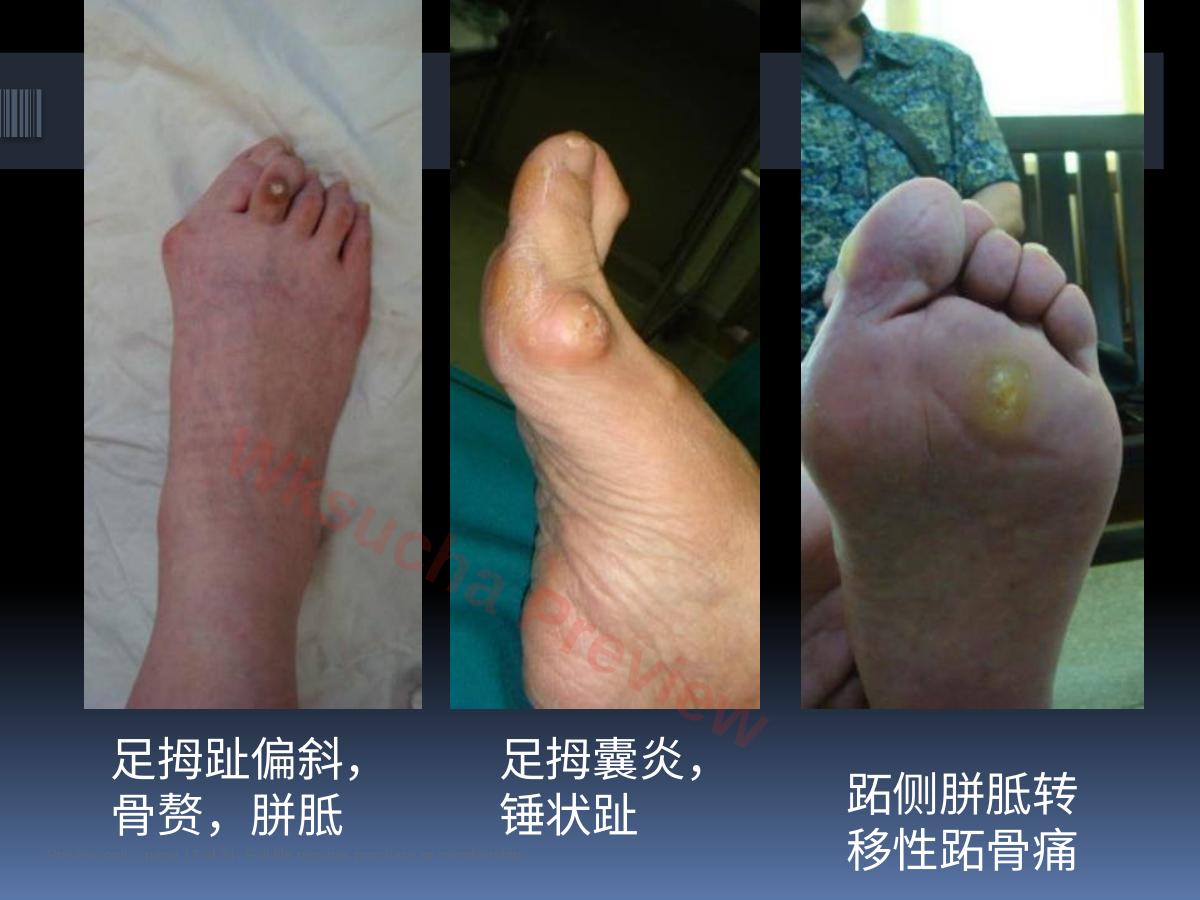 预览第 12 页