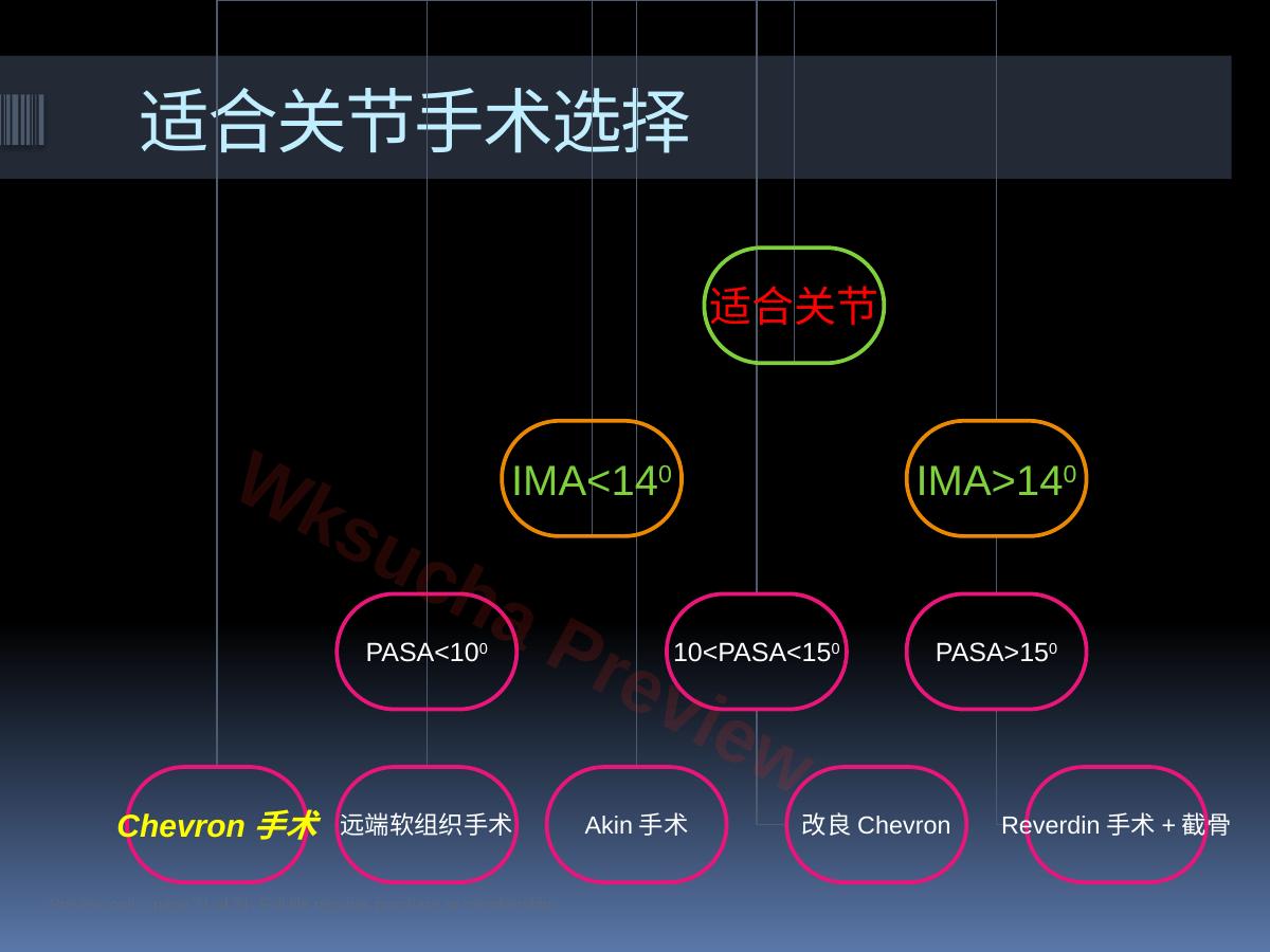 预览第 21 页
