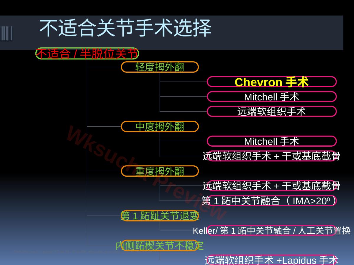 预览第 22 页