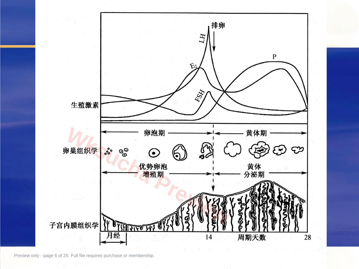 预览第 6 页