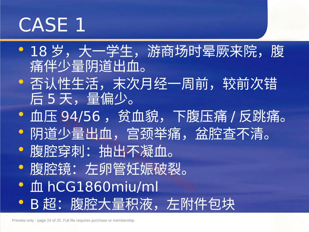 预览第 24 页