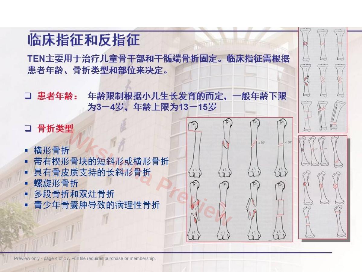 预览第 4 页