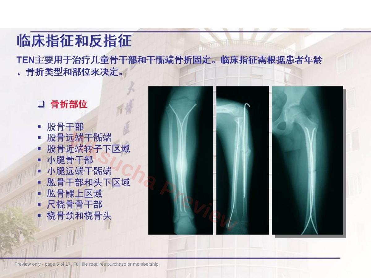 预览第 5 页