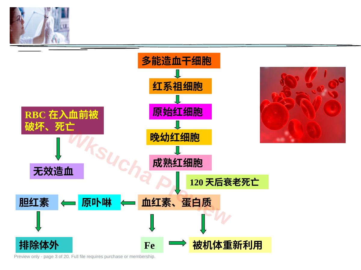 预览第 3 页
