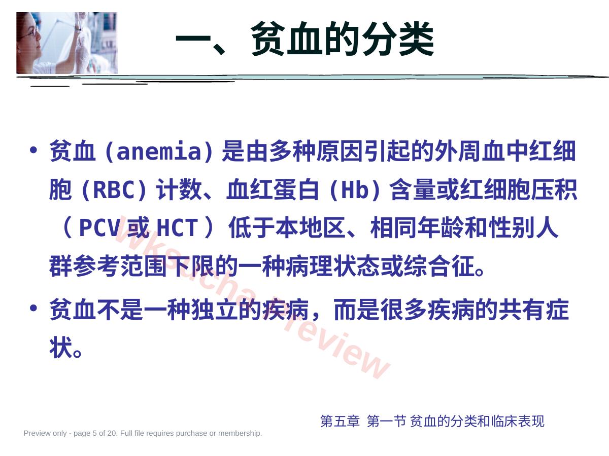 预览第 5 页