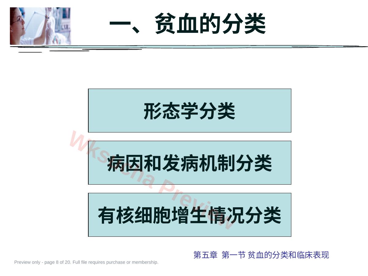 预览第 8 页