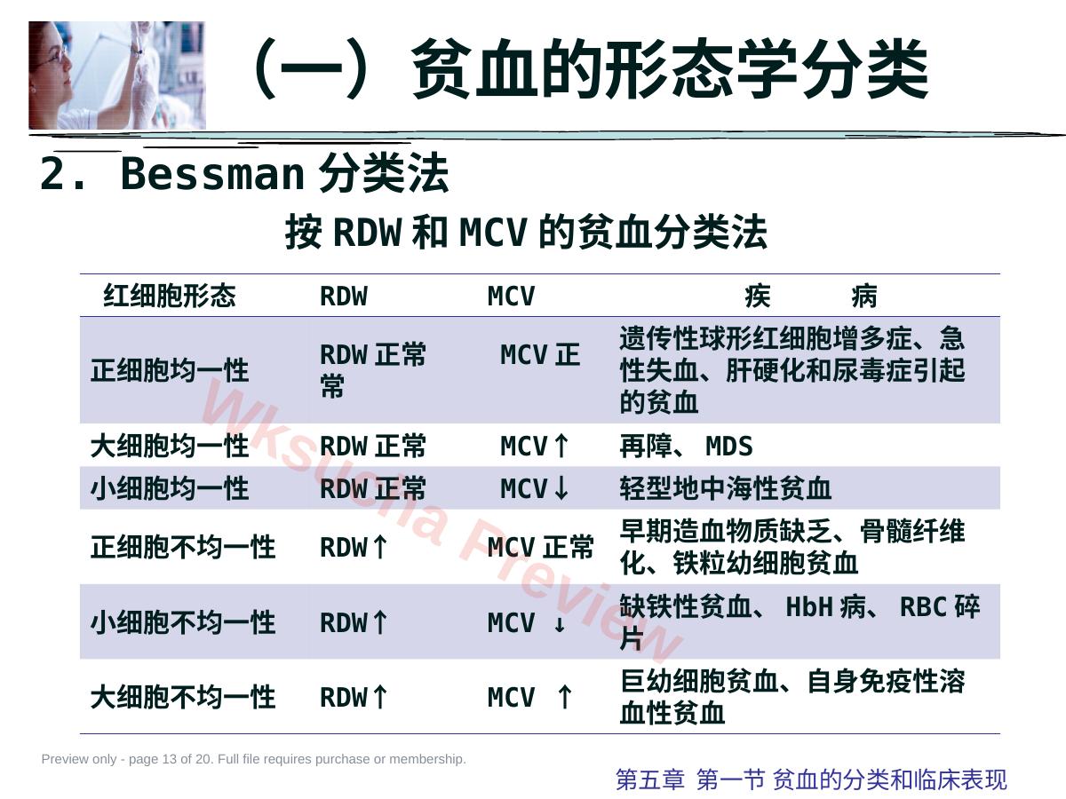 预览第 13 页