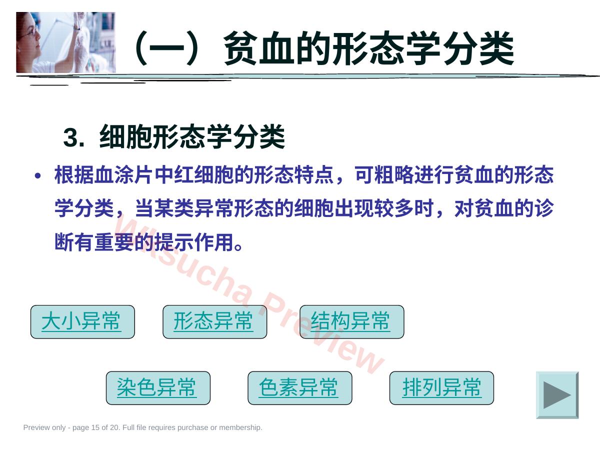 预览第 15 页