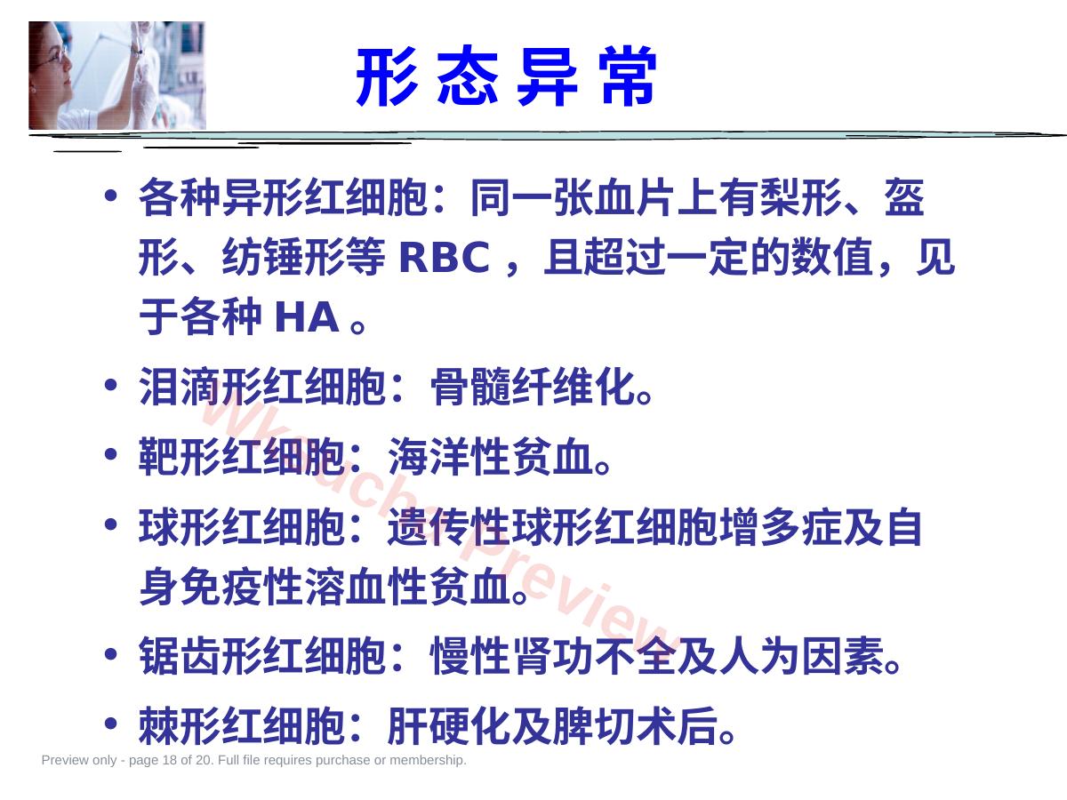 预览第 18 页
