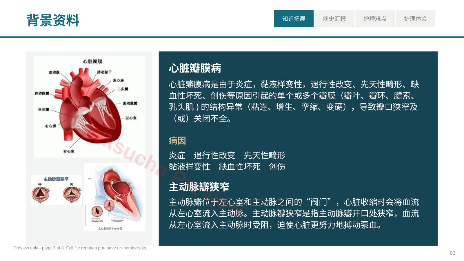 预览第 3 页