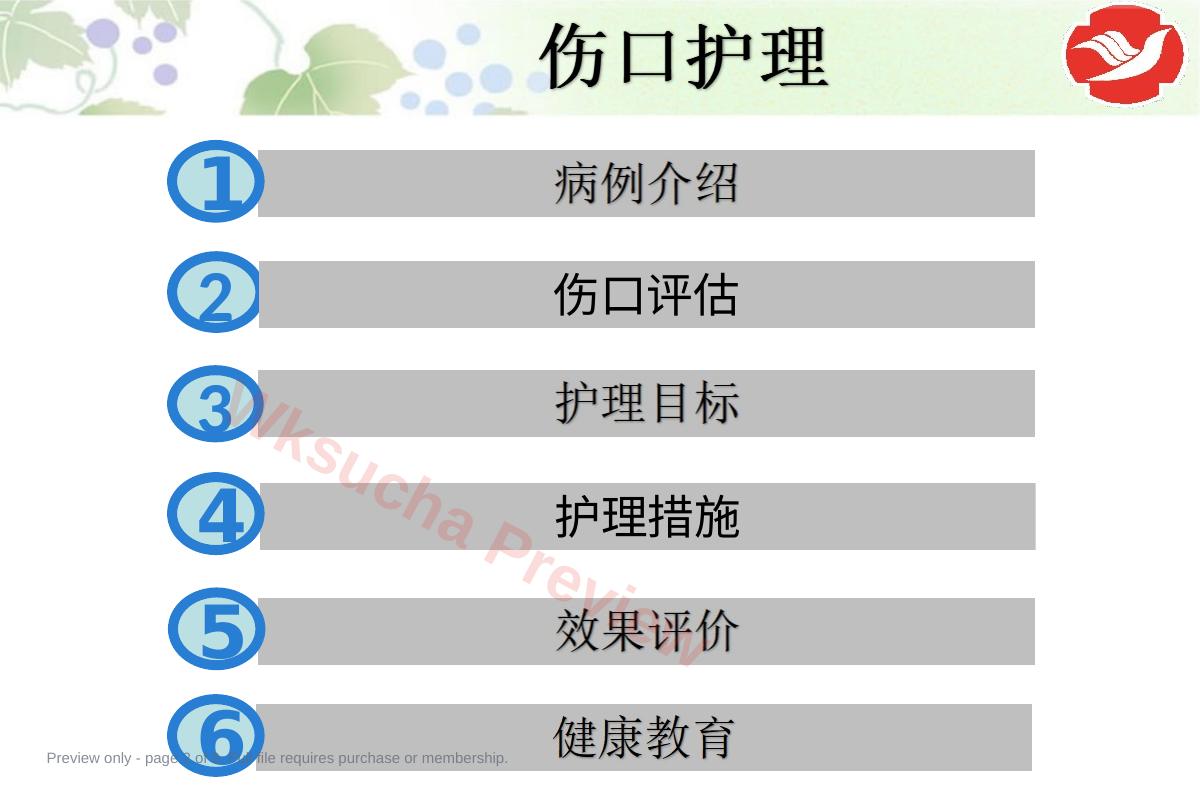 预览第 2 页