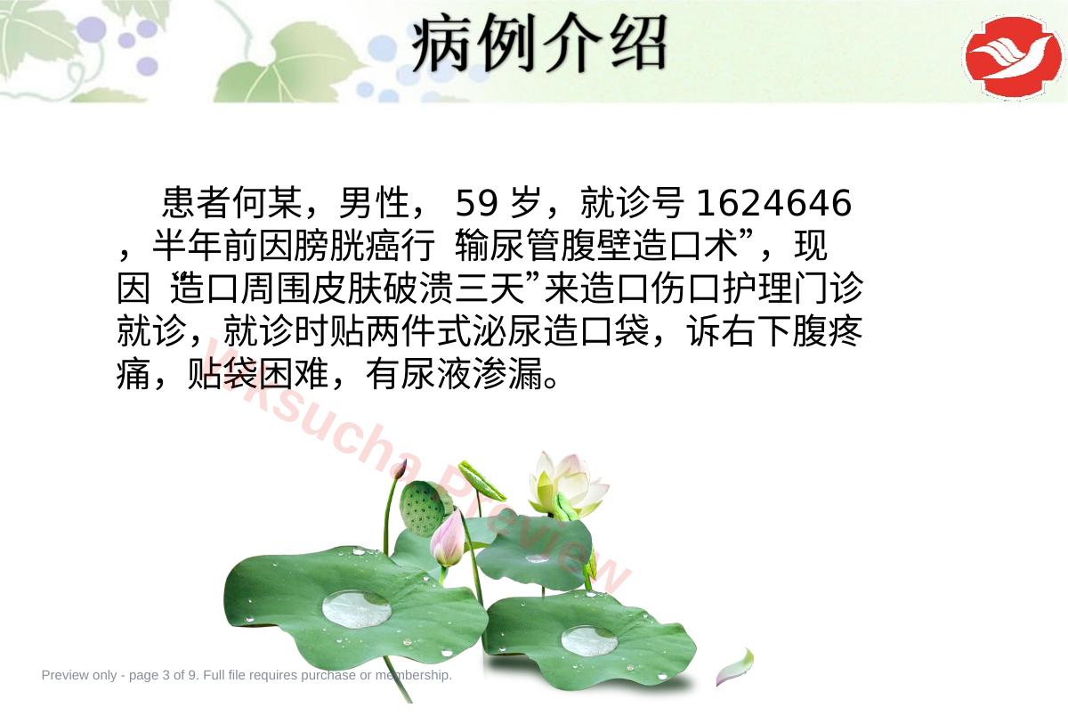 预览第 3 页