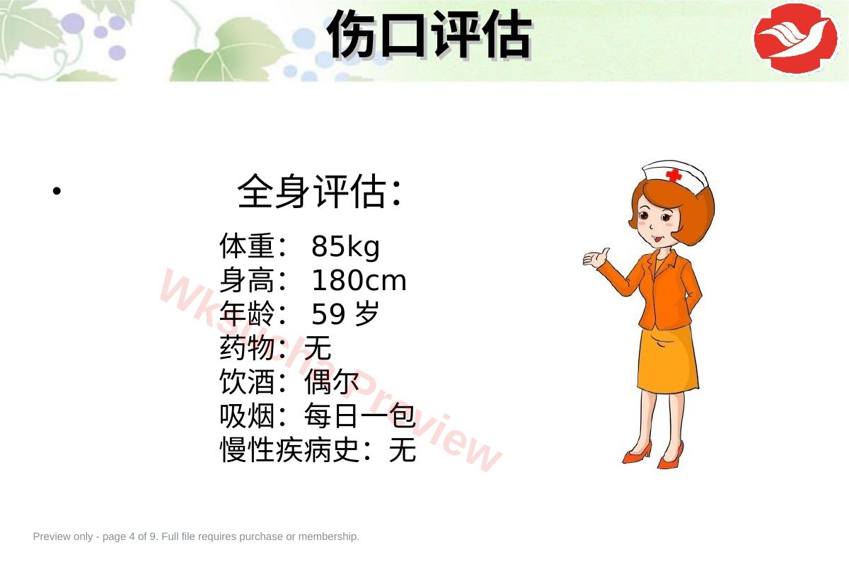预览第 4 页