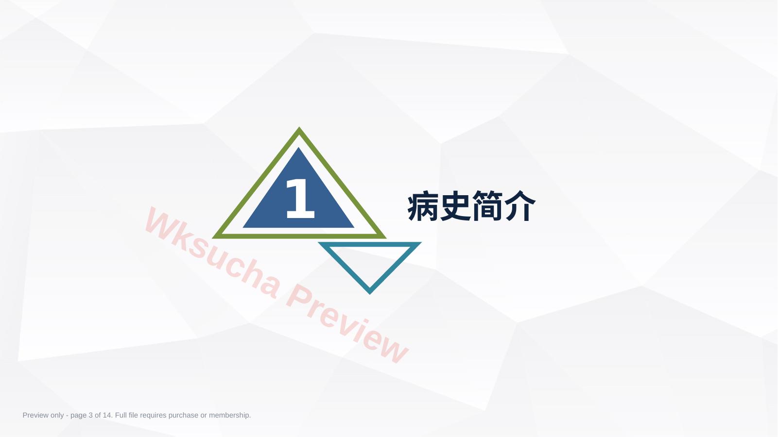 预览第 3 页