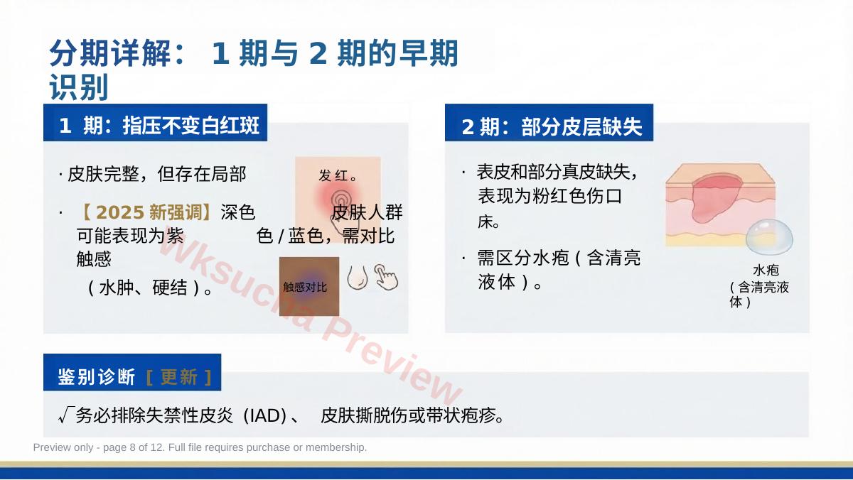 预览第 8 页