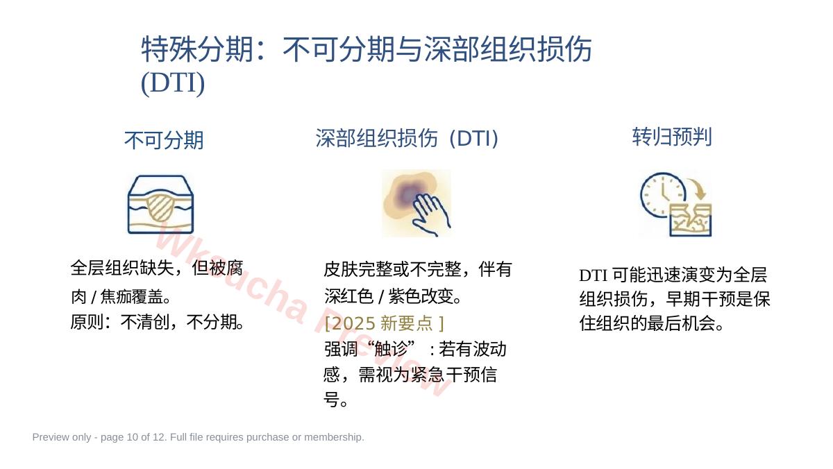 预览第 10 页