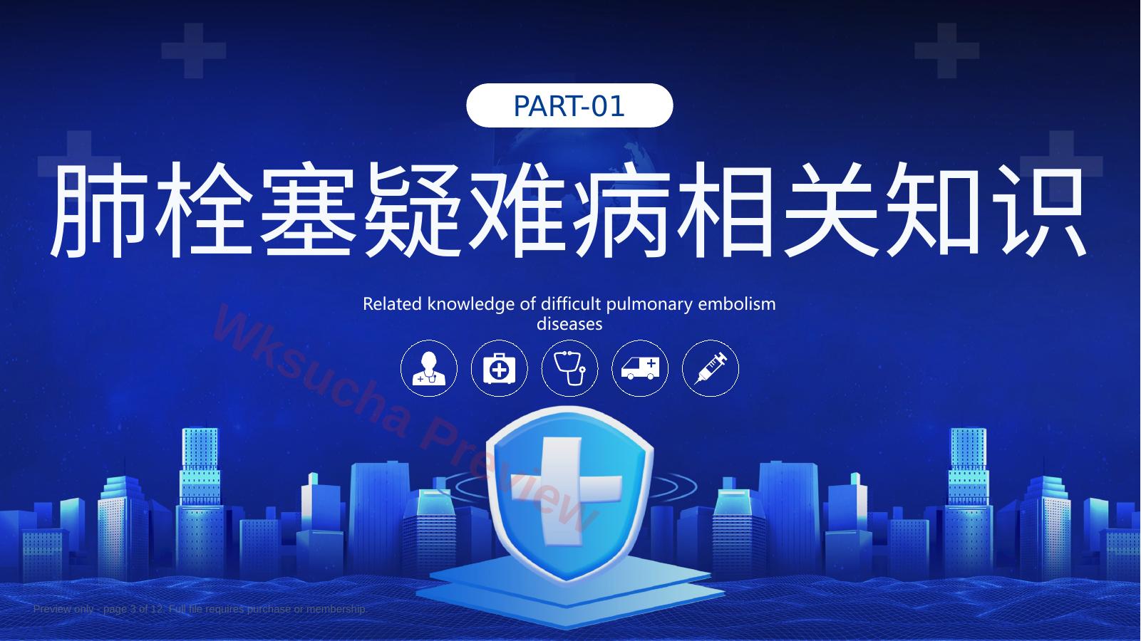 预览第 3 页