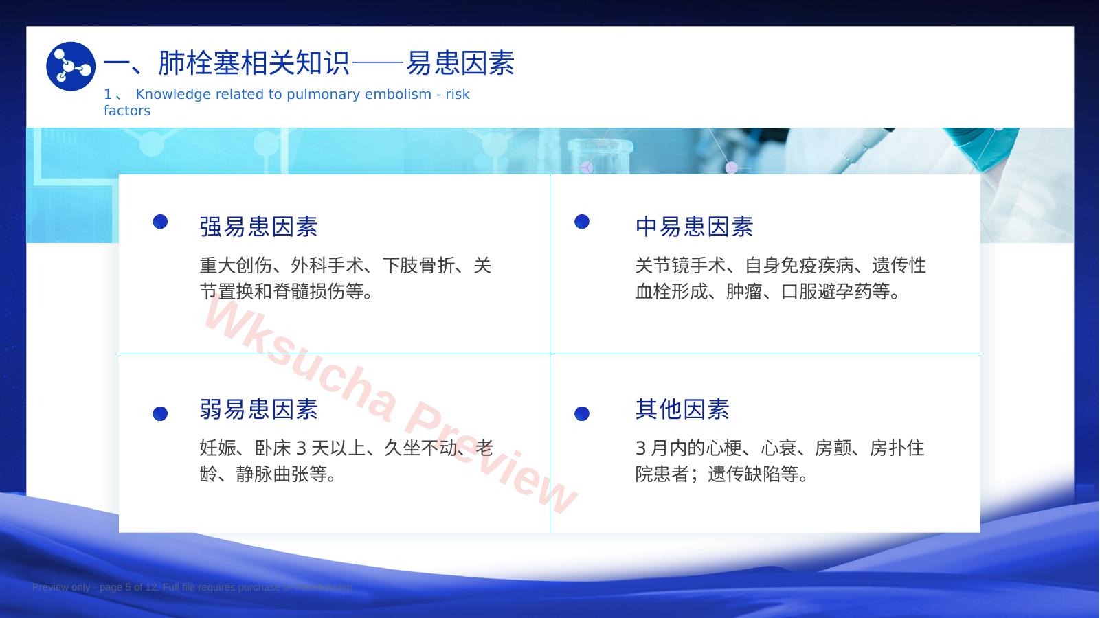 预览第 5 页
