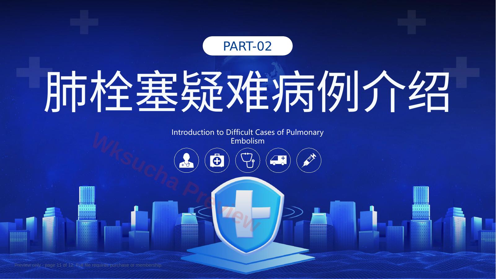 预览第 11 页
