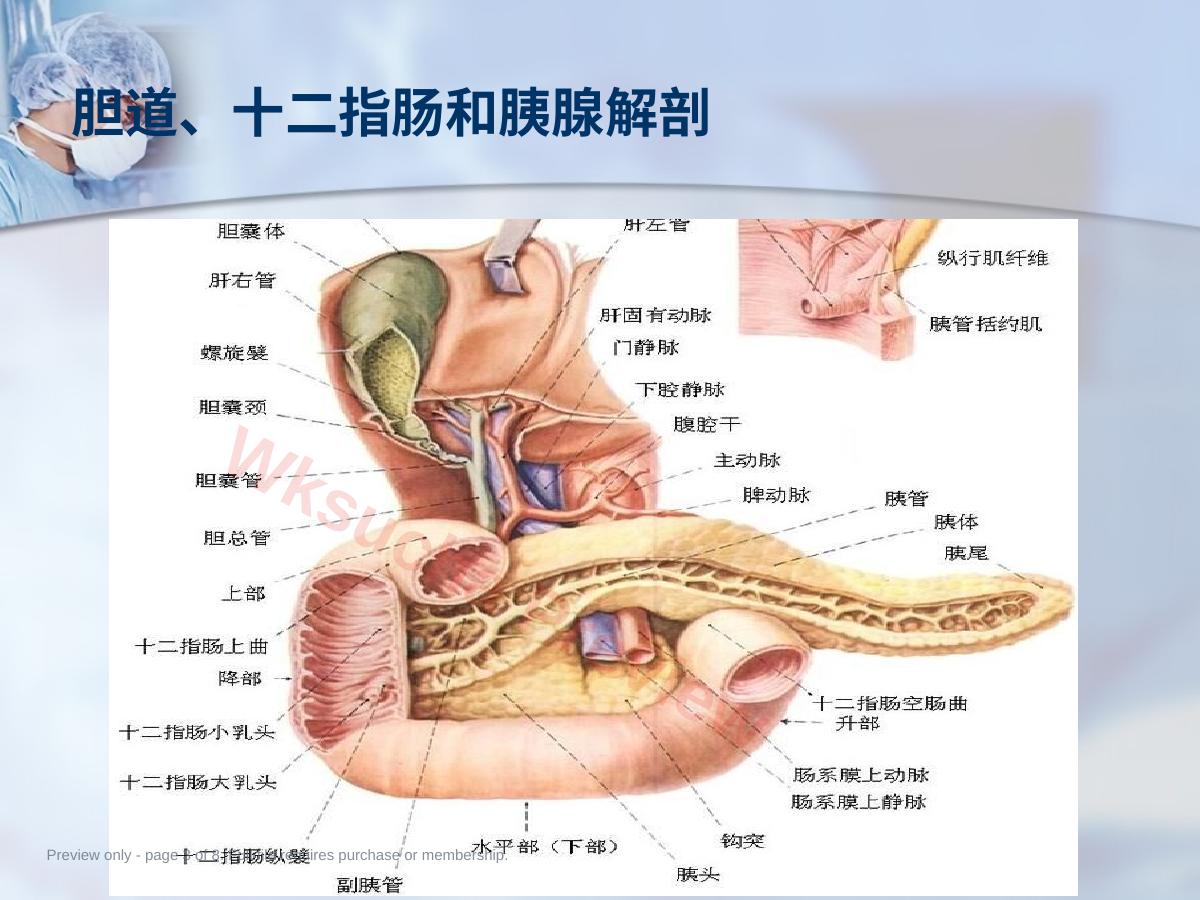 预览第 3 页