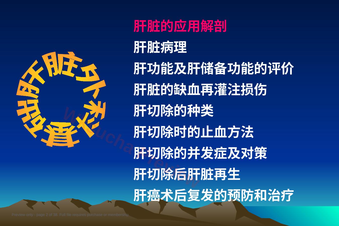 预览第 2 页