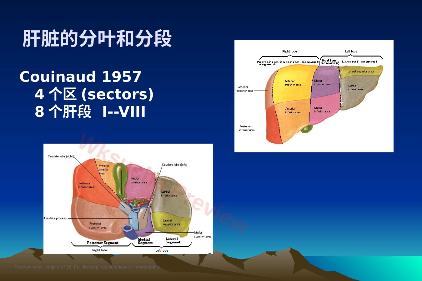 预览第 4 页