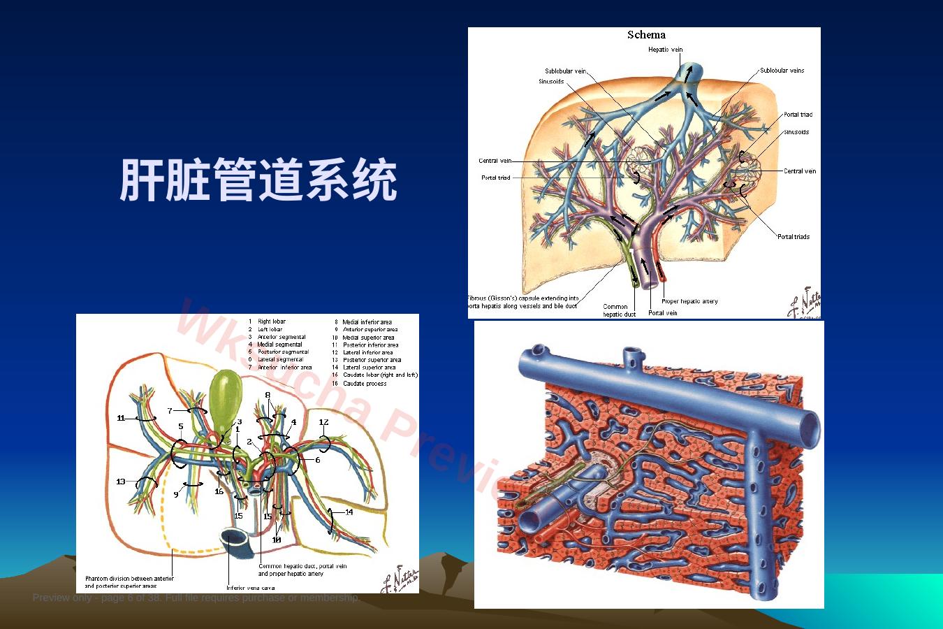 预览第 6 页
