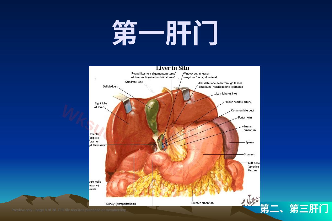 预览第 8 页