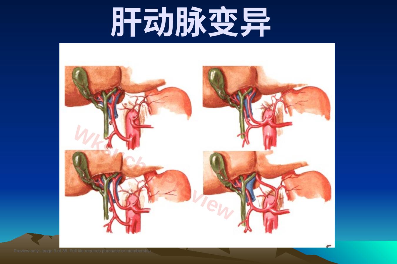预览第 9 页