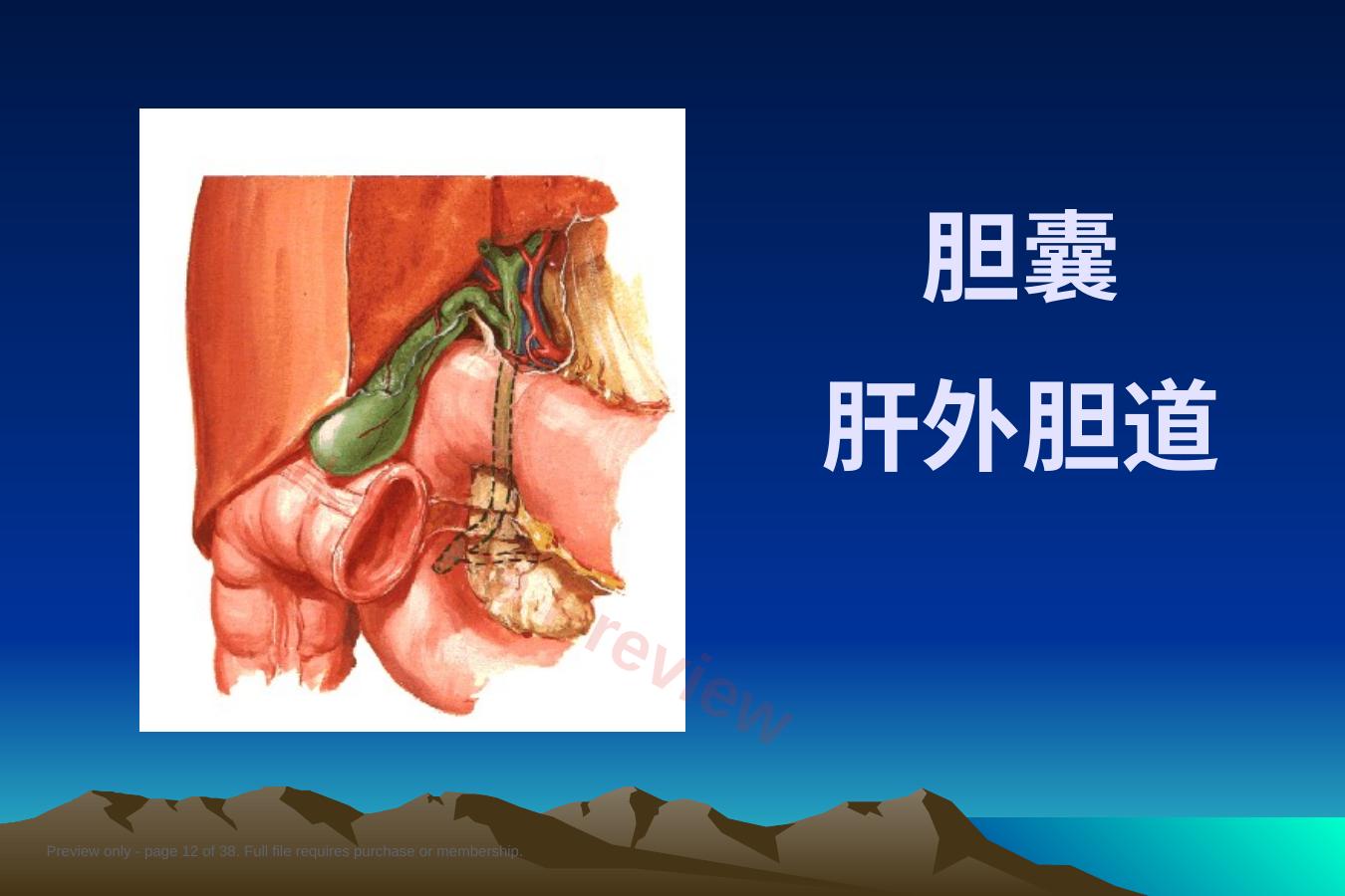预览第 12 页