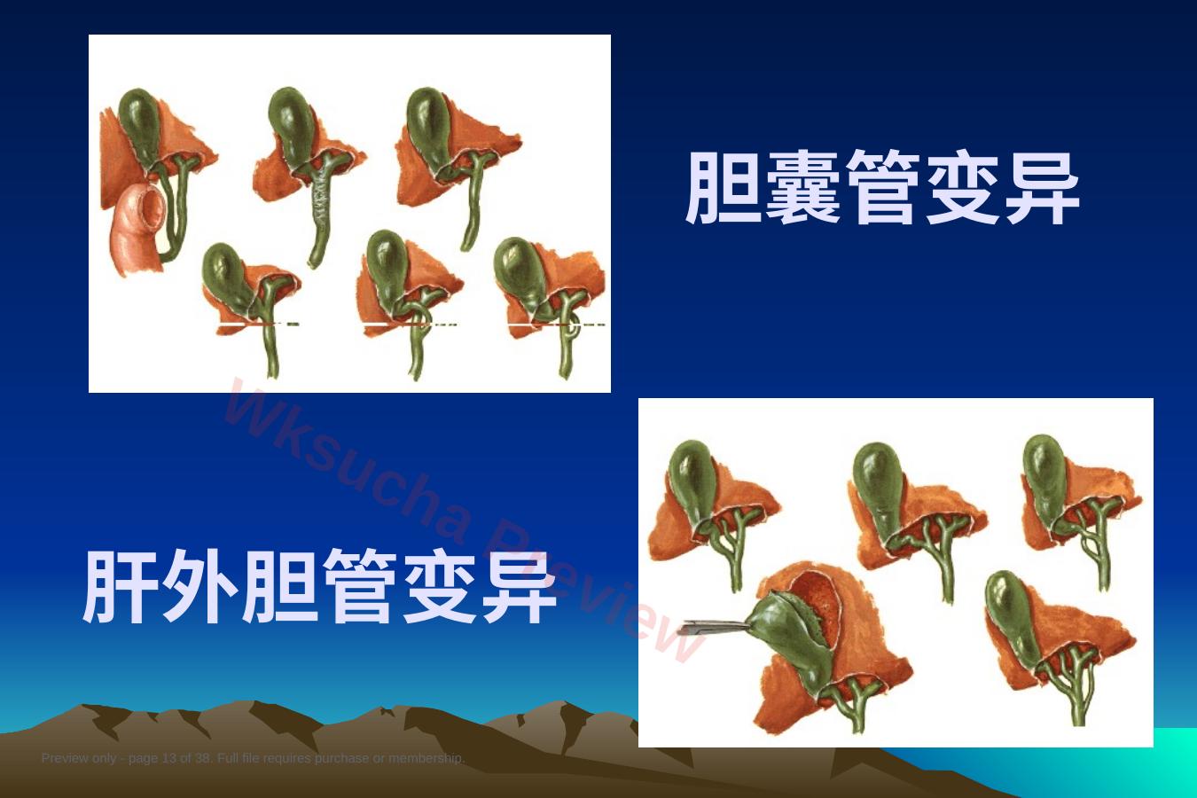 预览第 13 页