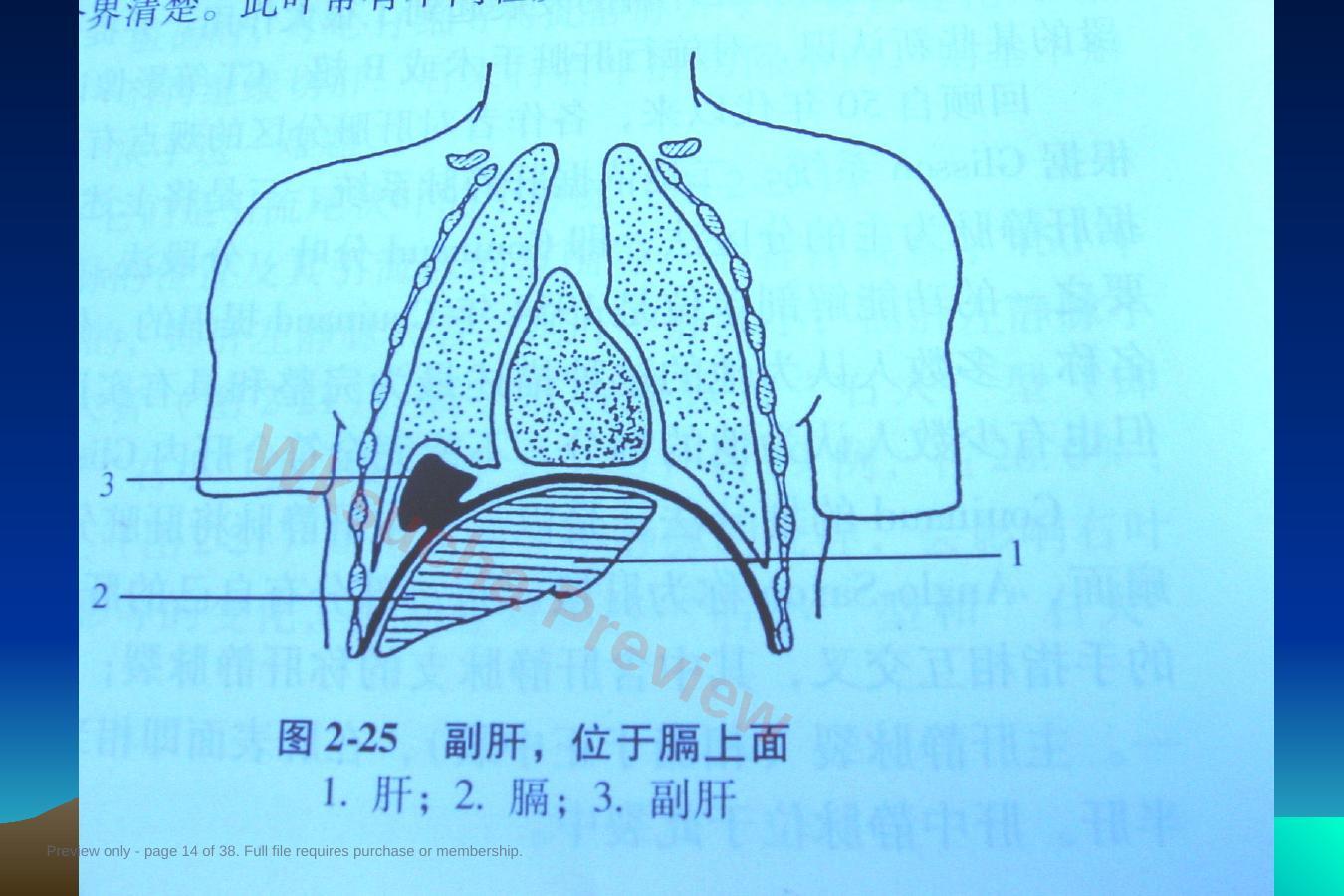 预览第 14 页
