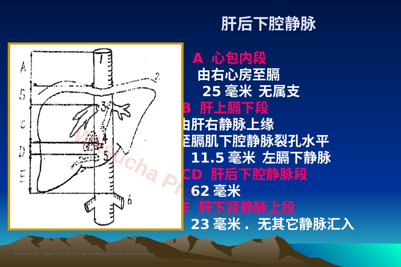 预览第 15 页