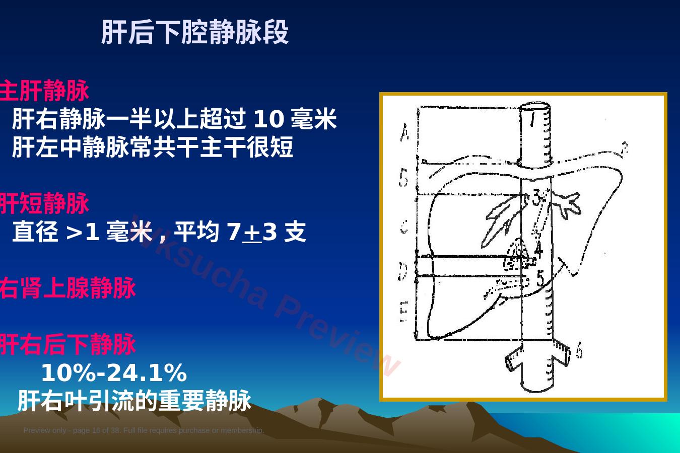 预览第 16 页