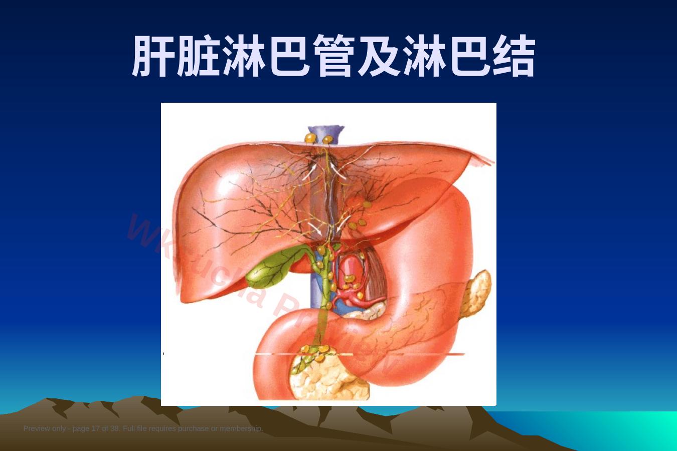 预览第 17 页