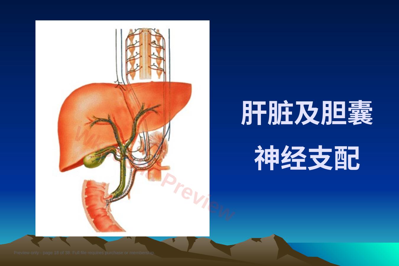 预览第 18 页