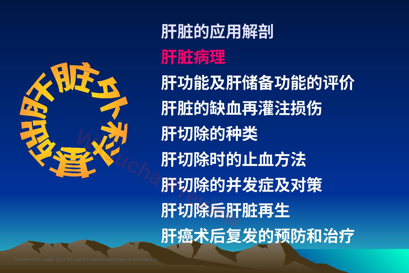 预览第 19 页