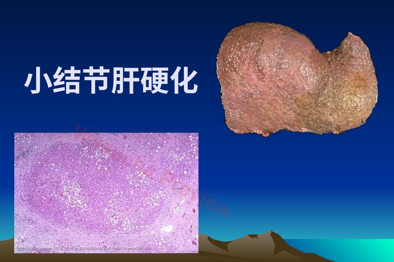 预览第 23 页