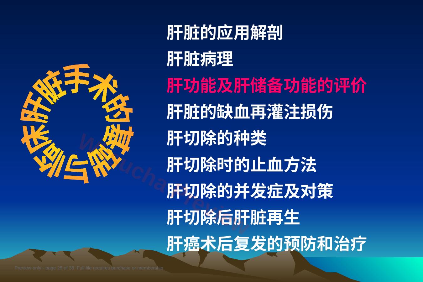 预览第 25 页