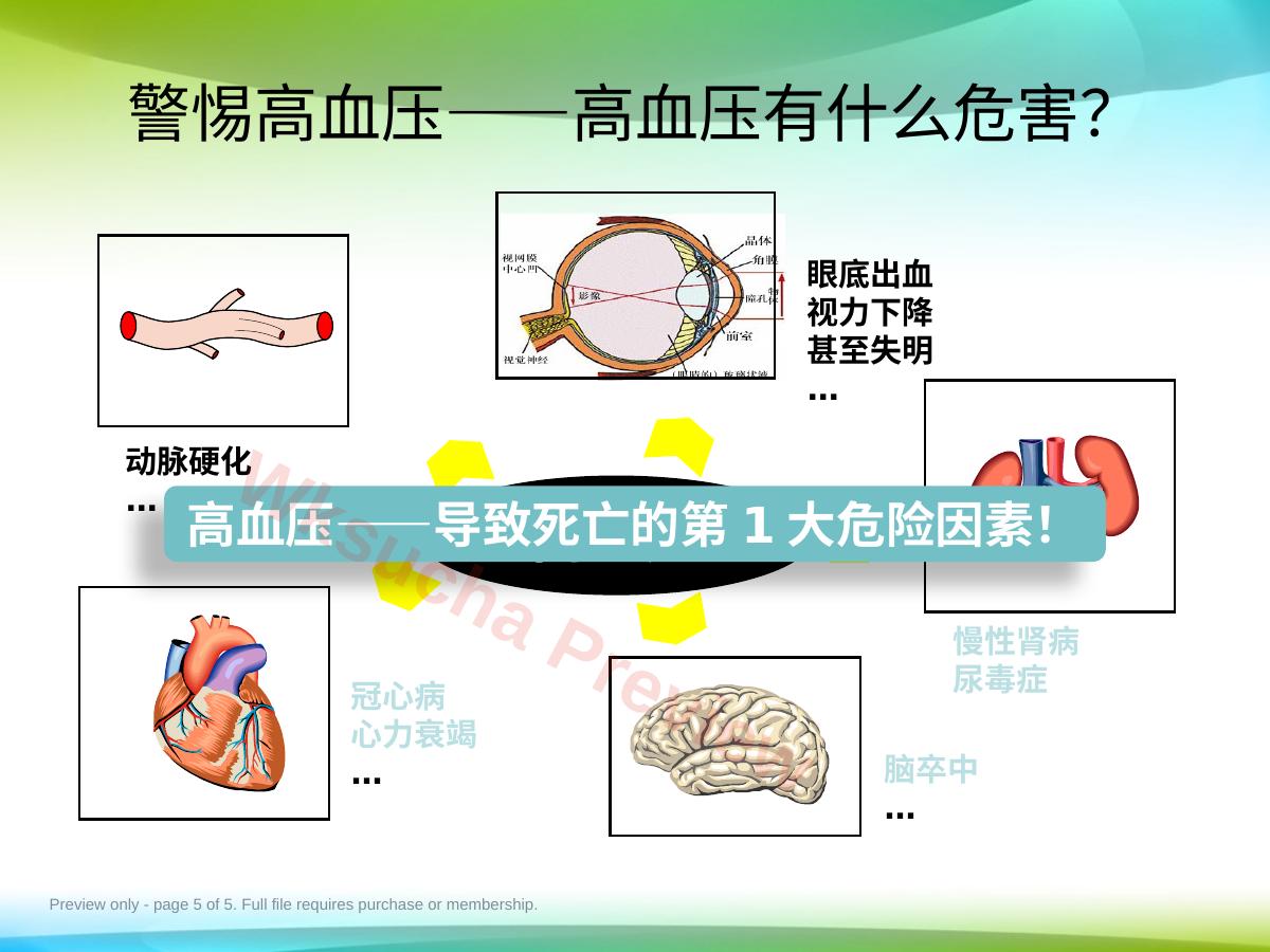 预览第 5 页