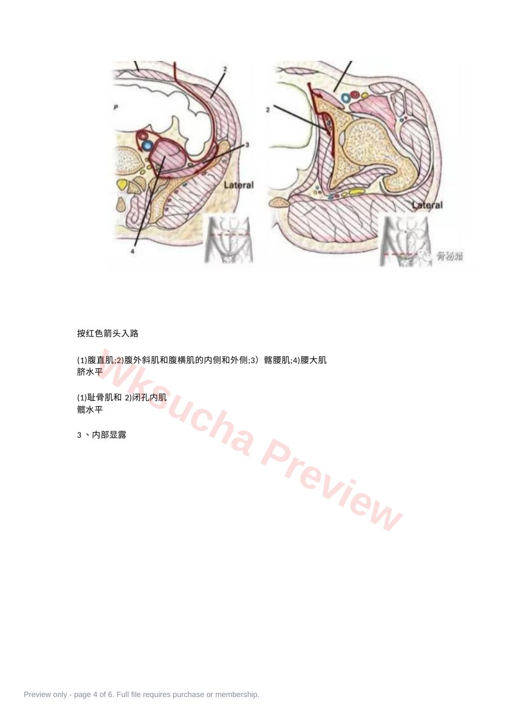 预览第 4 页