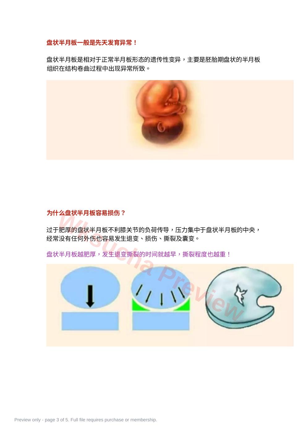 预览第 3 页