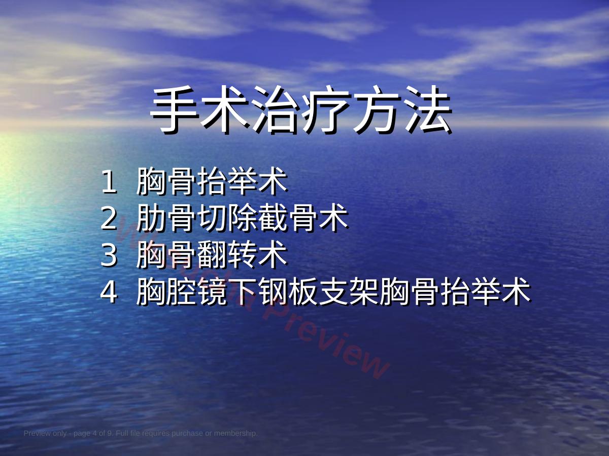 预览第 4 页