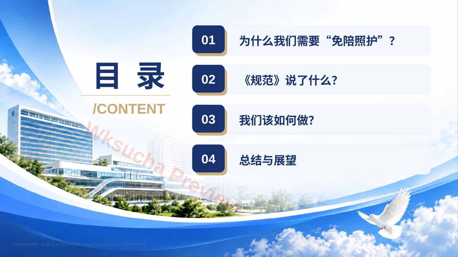 预览第 3 页