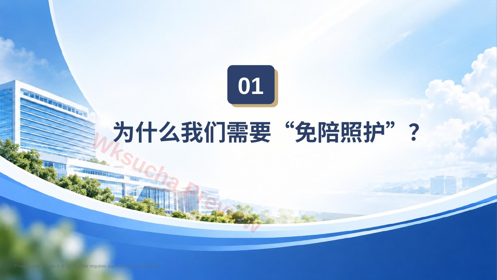 预览第 4 页