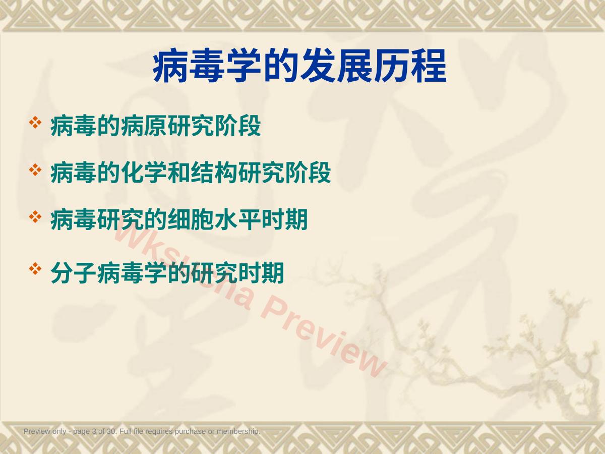 预览第 3 页