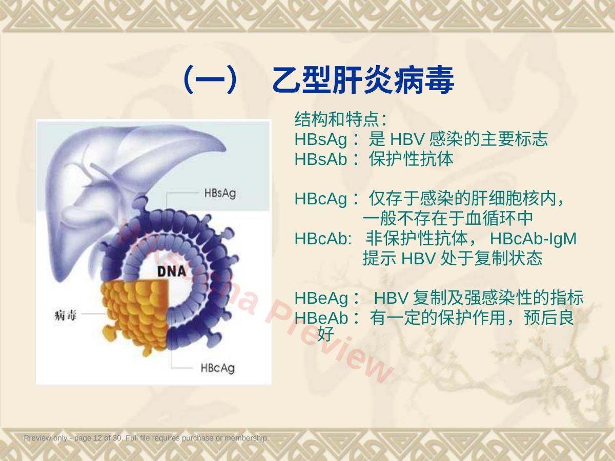 预览第 12 页